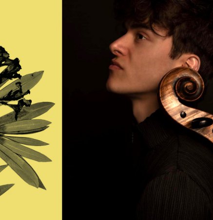 Guillem Gràcia, violonchelo