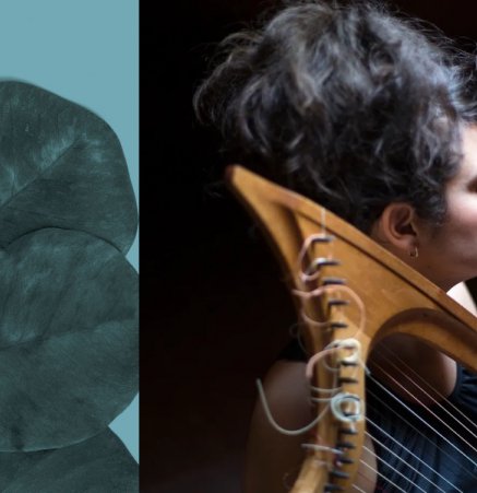 Sara Águeda, arpa