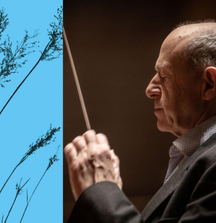 Budapest Festival Orchestra