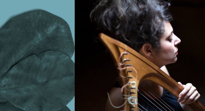 Sara Águeda, arpa