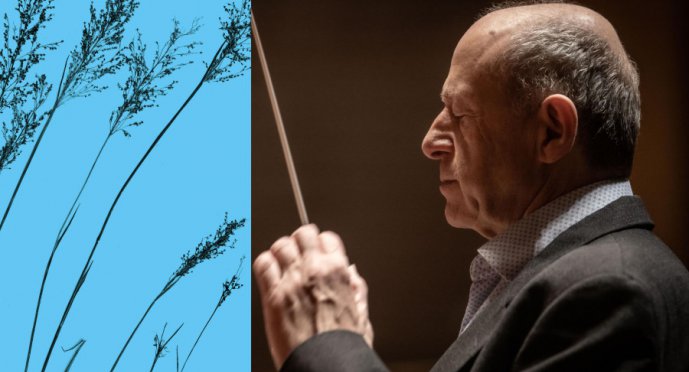 Budapest Festival Orchestra